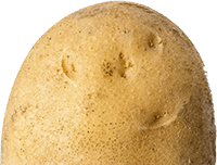 Kartoffelhalv