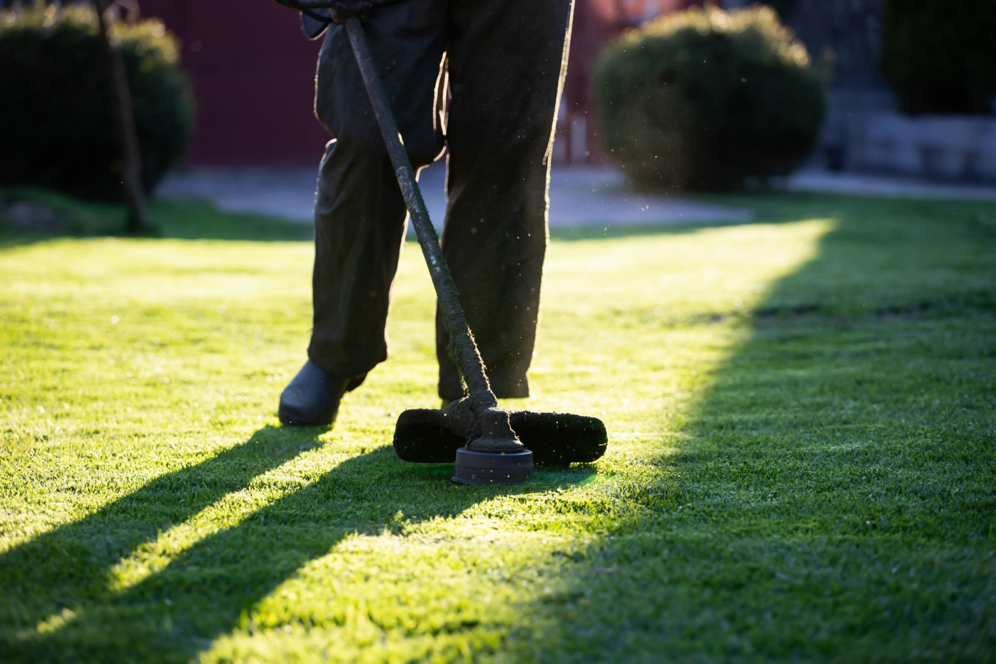 Greenkeeper Græspleje
